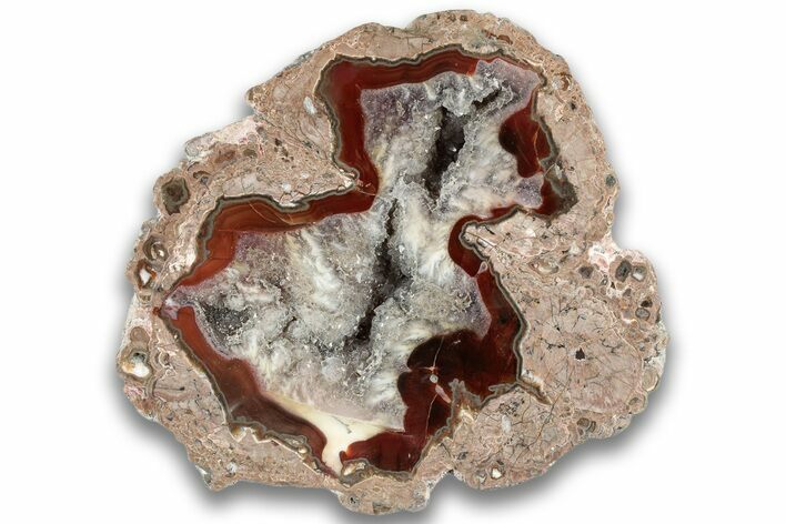 Polished Baker Ranch Thunderegg - New Mexico #323785